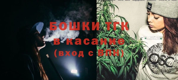 тгк Бородино