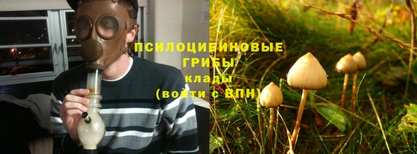 тгк Бородино